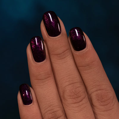 ILNP - Bewitched