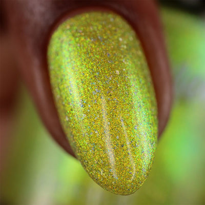 KBShimmer - Simply The Zest