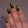 ILNP - Olive Grove